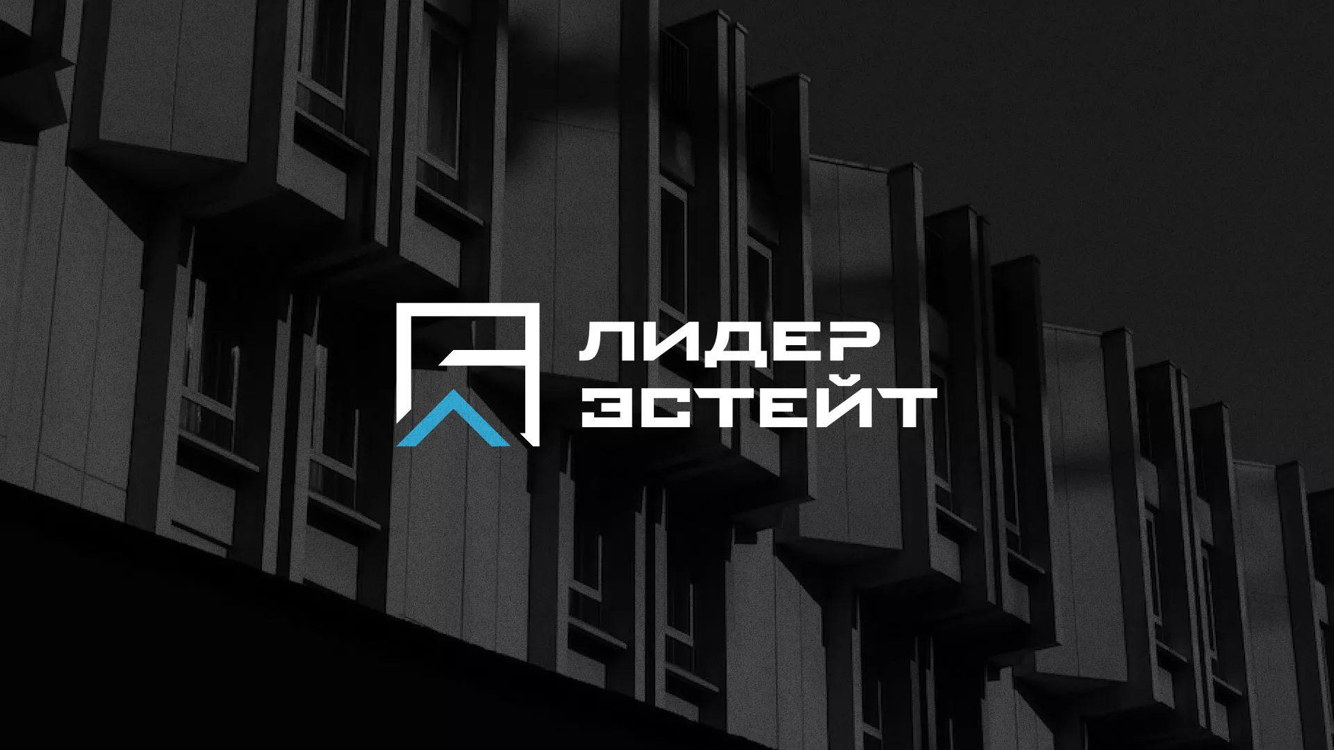 Разработка логотипа агентства недвижимости «Лидер Эстейт» в Чусовом